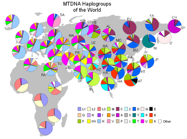 mapa genético mundo adn mitocondrial