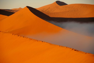 dunas desierto
