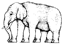 ¿Cuántas patas tiene el elefante?