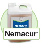 Nemacur Bayer